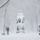 People walk their dogs on the snow-blanketed Commonwealth Mall on Dec, 17, 2020 in Boston.